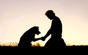 Ο θάνατος ενός κατοικίδιου: πένθος, πορεία, αντιμετώπιση